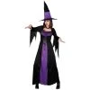 Wicked Spellbound Witch Female Costumes