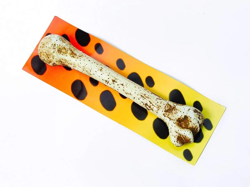 Bristol Barbarian Bone 1 Bristol Barbarian Bone