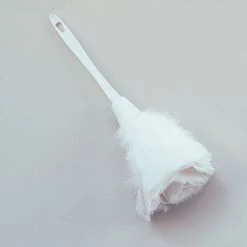 Bristol Feather Duster All Around The World